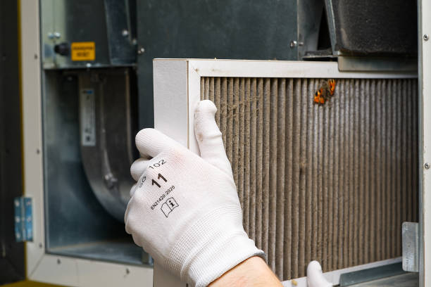 Best Professional Duct Cleaning Services  in Silverthorne, CO